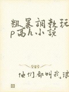 粗暴调教玩弄np高h小说