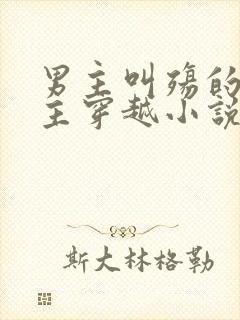 男主叫殇的,女主穿越小说