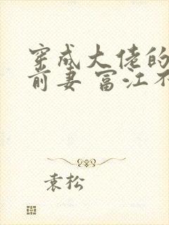 穿成大佬的炮灰前妻 富江不富