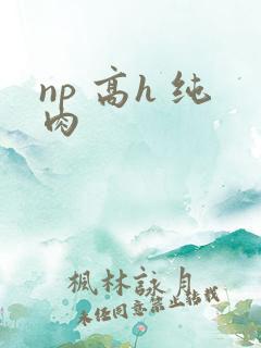 np 高h 纯肉
