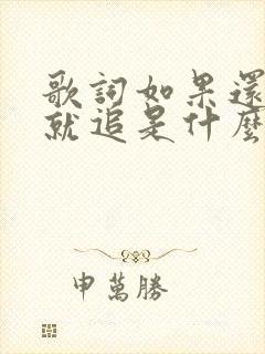 歌词如果还有梦就追是什么歌