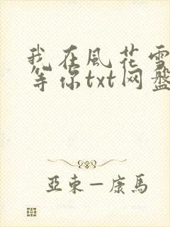 我在风花雪月里等你txt网盘