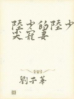 陆少的陆少的心尖宠妻