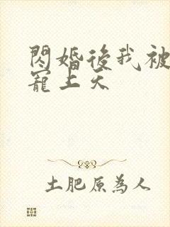 闪婚后我被大叔宠上天