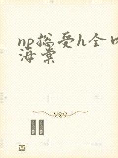 np总受h全肉海棠