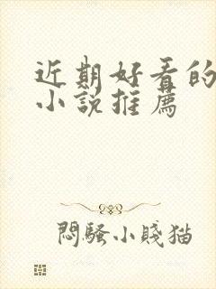 近期好看的言情小说推荐