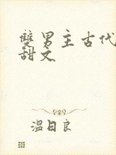 双男主古代生子甜文