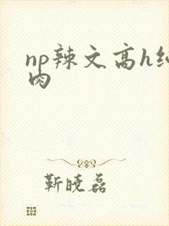 np辣文高h纯肉