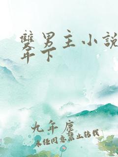 双男主小说推荐年下