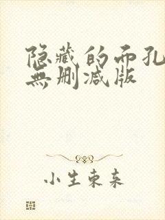 隐藏的面孔韩剧无删减版