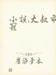 小说,大叔乖乖宠