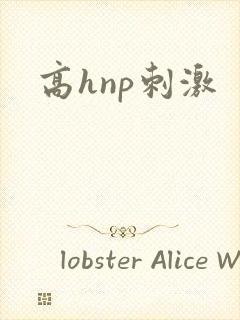 高hnp刺激