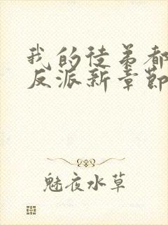 我的徒弟都是大反派新章节