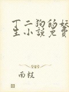 丁二狗的妖孽人生小说免费阅读