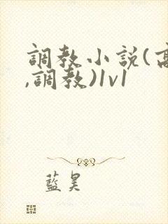 调教小说(高h,调教)1v1