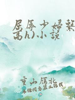 屈辱少妇系列(高h)小说