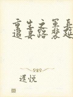 重生之军长漫漫追妻路裴延峰