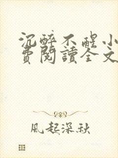 沉醉不醒小说免费阅读全文无弹窗