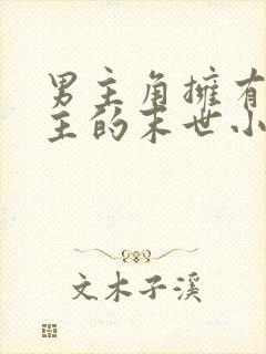 男主角拥有多女主的末世小说