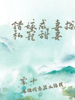 错嫁成妻总裁的私宠甜妻