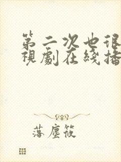 第二次也很美电视剧在线播放