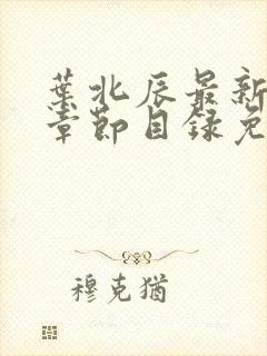 叶北辰最新更新章节目录免费阅读