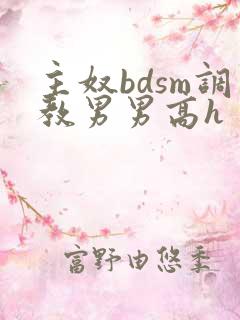 主奴bdsm调教男男高h