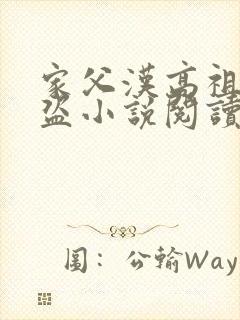 家父汉高祖无防盗小说阅读