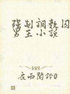 强制调教囚禁双男主小说