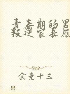 青春期的男孩子叛逆家长应该怎么做教育