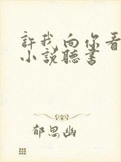 许我向你看有声小说听书