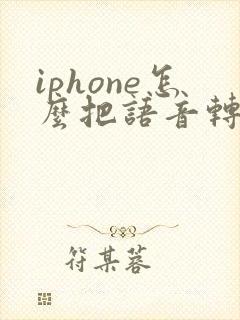 iphone怎么把语音转化成文字