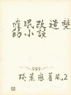 催眠改造双男主的小说