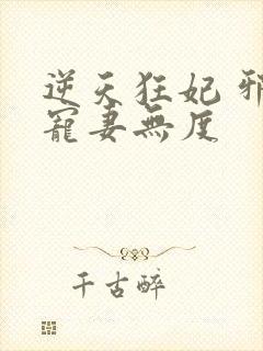 逆天狂妃 邪王宠妻无度