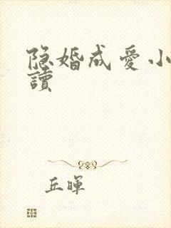 隐婚成爱小说阅读