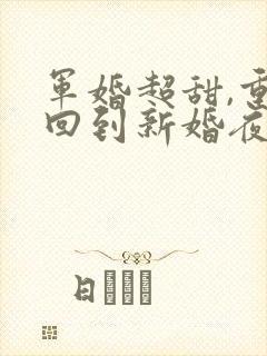 军婚超甜,重生回到新婚夜
