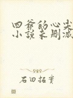 四爷的心尖宠妃小说未删减版