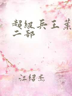 超级兵王叶谦第二部