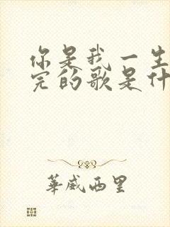 你是我一生唱不完的歌是什么歌名