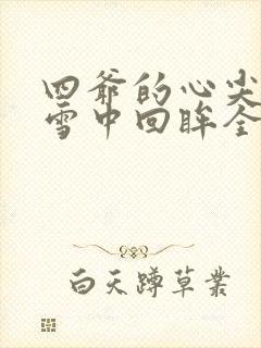 四爷的心尖宠妃雪中回眸全文阅