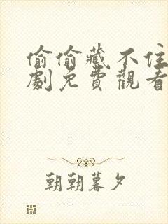 偷偷藏不住电视剧免费观看在线版