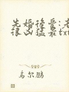 先婚后爱:老公很凶猛最txt下载