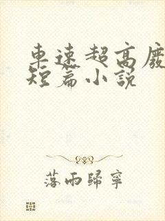 车速超高废文的短篇小说