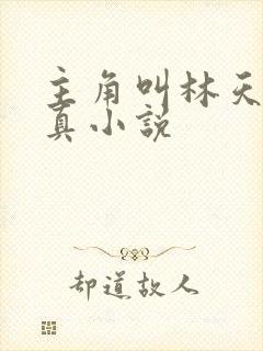 主角叫林天的修真小说