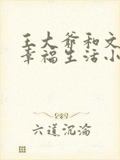 王大爷和文婷的幸福生活小说