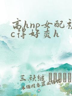 高hnp女配被c得好爽h