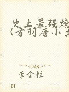 史上最强炼气期(方羽唐小柔)