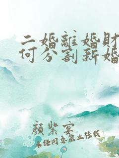 二婚离婚财产如何分割新婚姻法2023