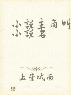 小说主角叫陆铮小说名