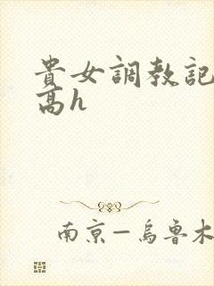 贵女调教记np高h